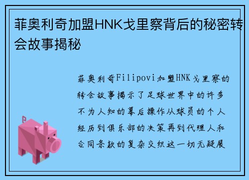 菲奥利奇加盟HNK戈里察背后的秘密转会故事揭秘