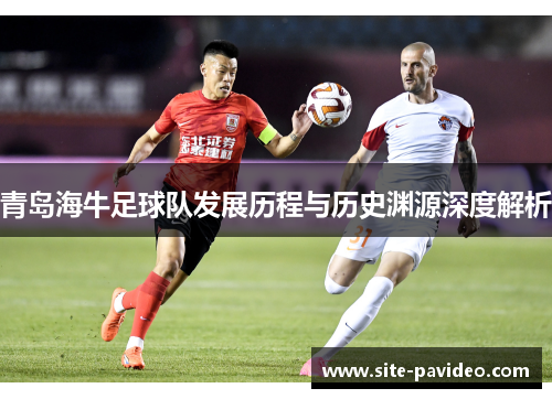 青岛海牛足球队发展历程与历史渊源深度解析