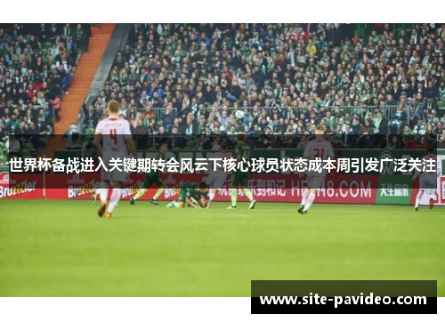 世界杯备战进入关键期转会风云下核心球员状态成本周引发广泛关注