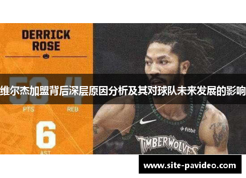 维尔杰加盟背后深层原因分析及其对球队未来发展的影响