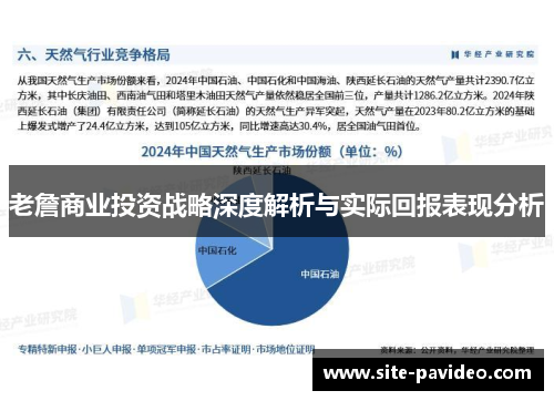 老詹商业投资战略深度解析与实际回报表现分析